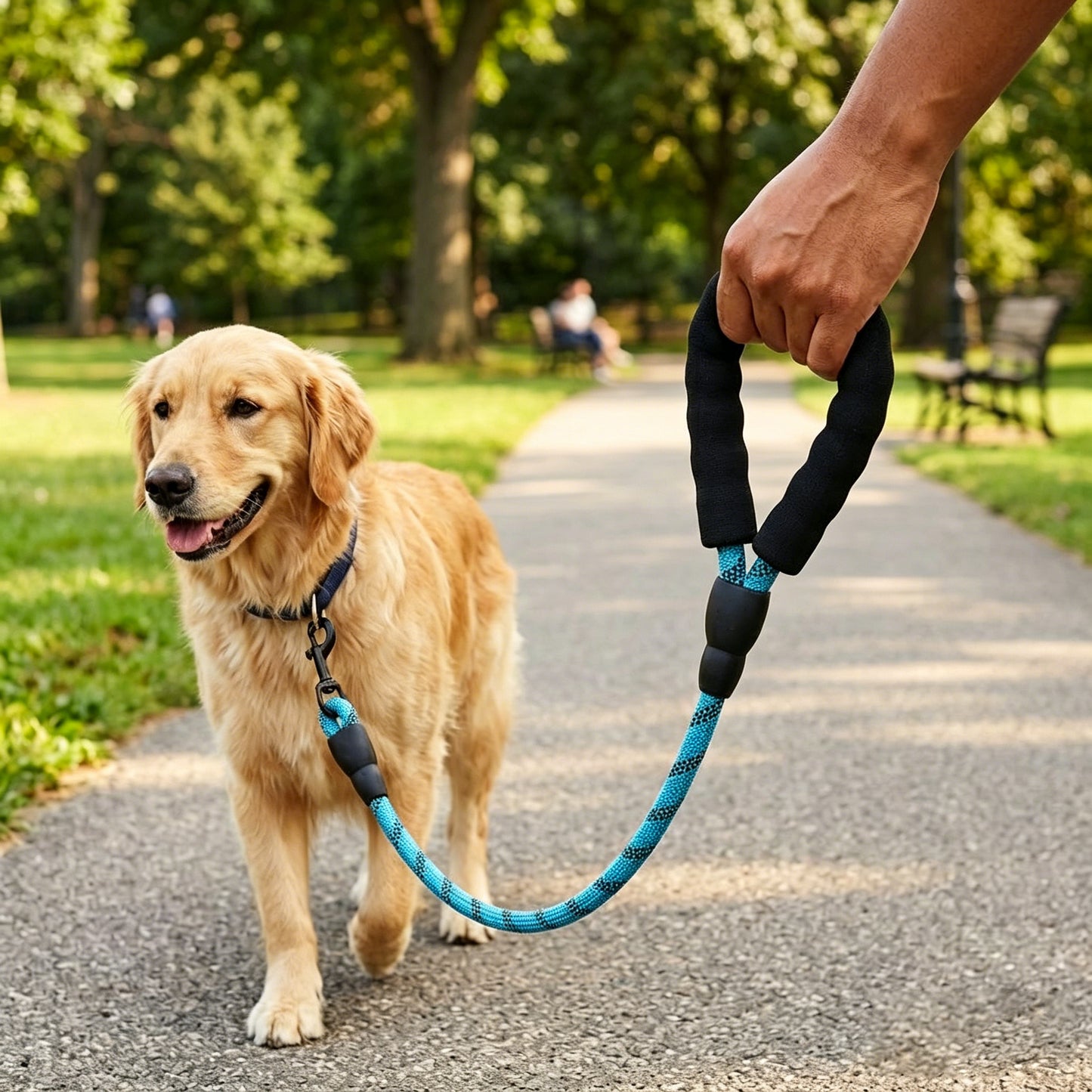Pet Leash