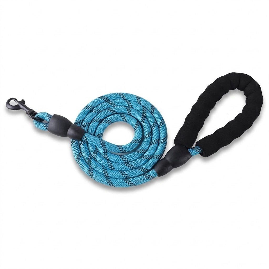 Pet Leash
