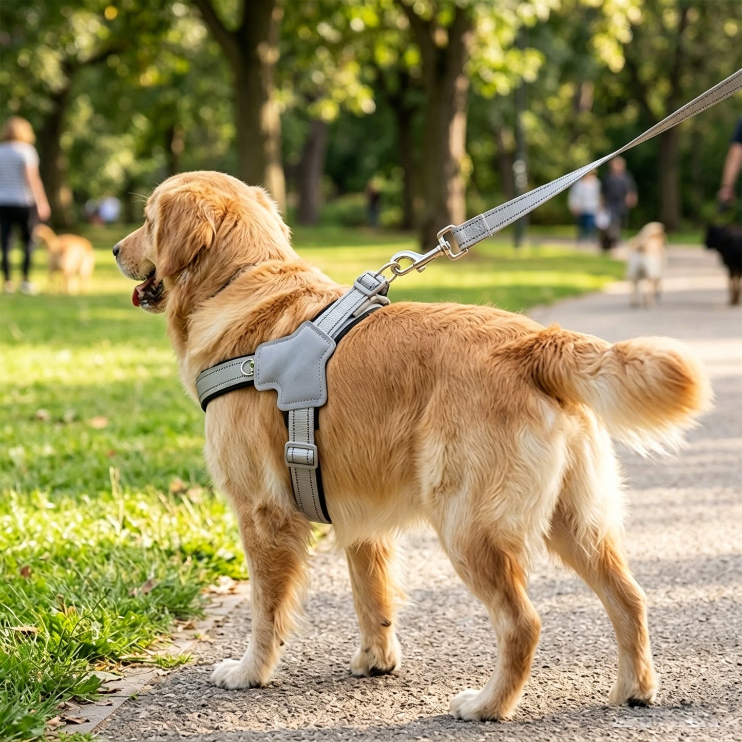 No-Pull Y-Shape Dog Harness