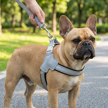 No-Pull Y-Shape Dog Harness